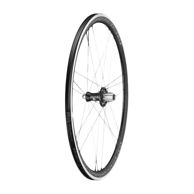 CAMPAGNOLO Rear Wheel Scirocco 35 C17 Clincher – Khcycle Singapore
