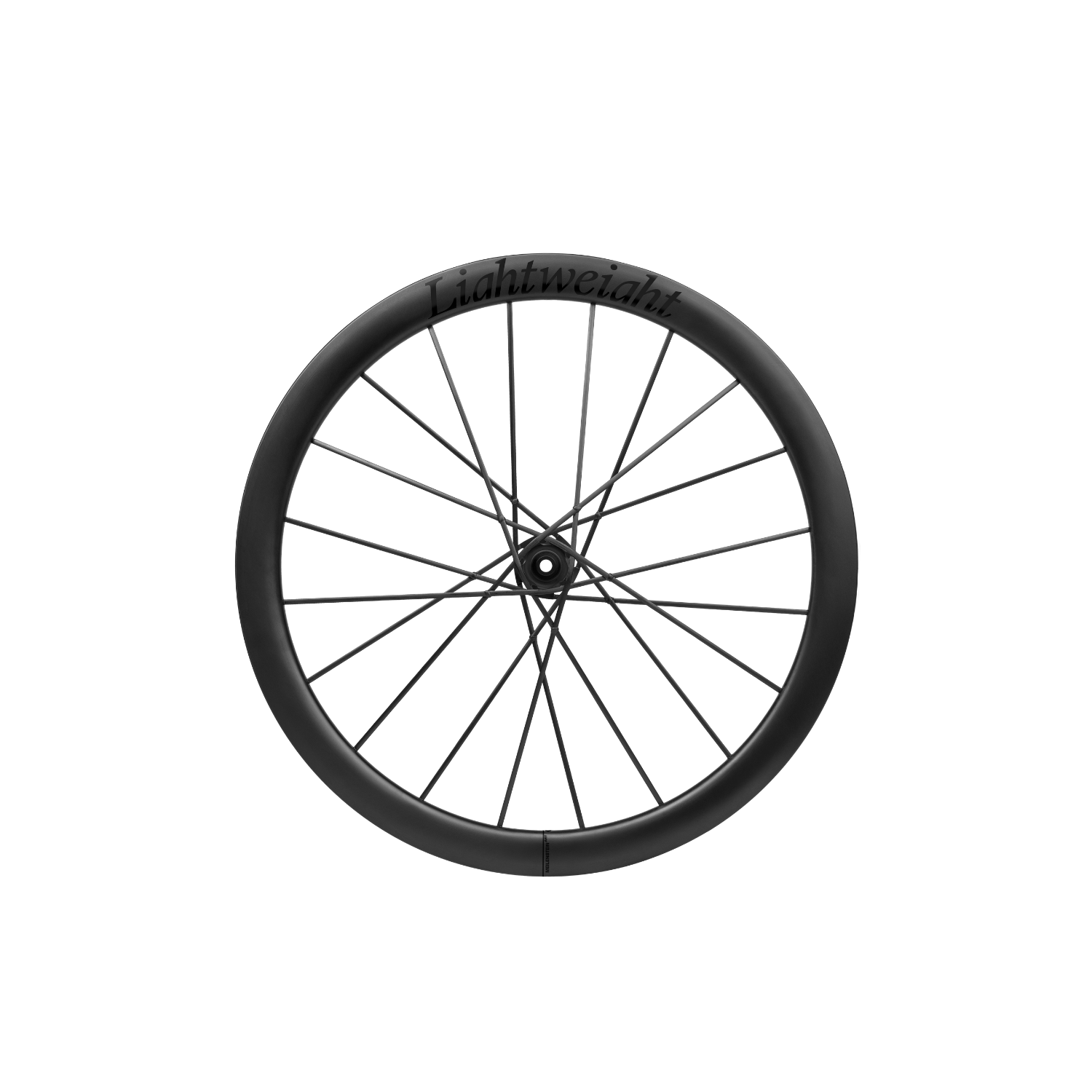 LIGHTWEIGHT Wheelset Meilenstein Art 28mm Disc Schwarz Edition Oversized - Image 3