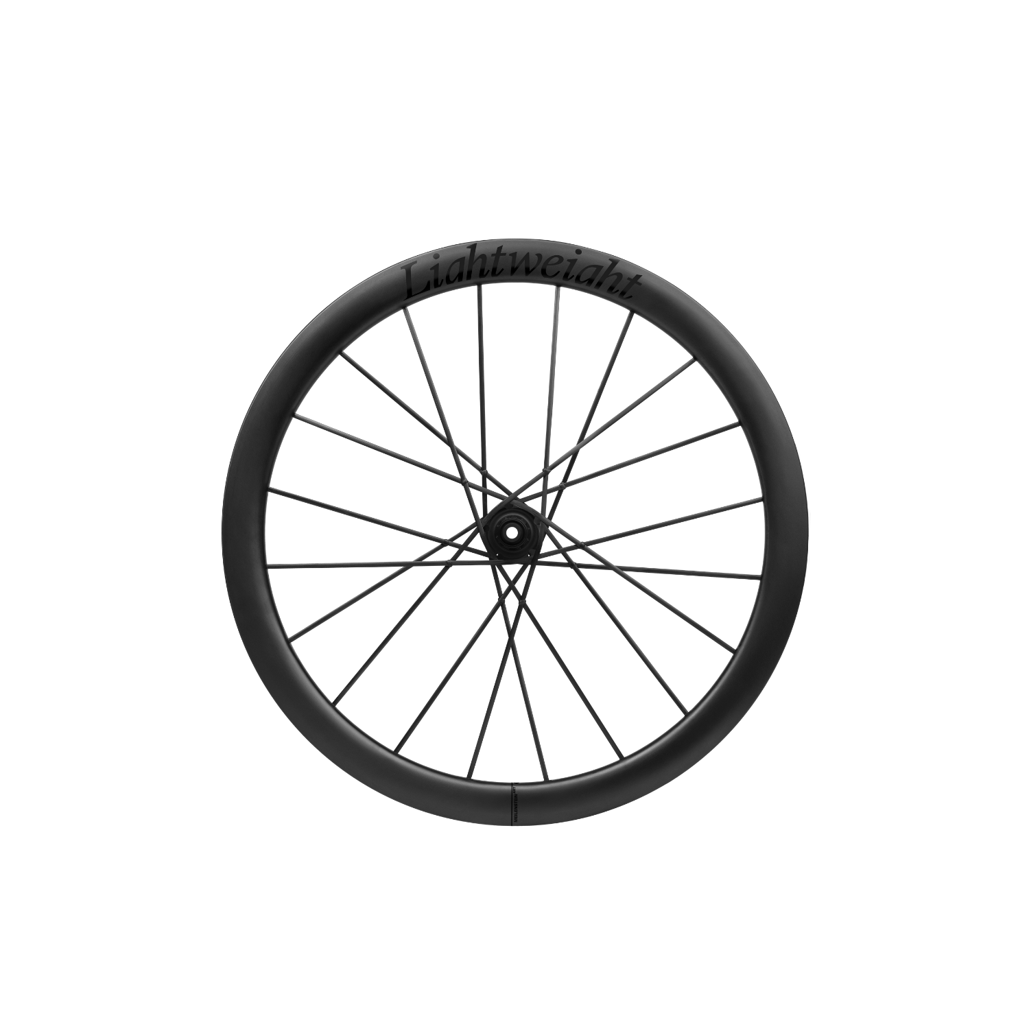 LIGHTWEIGHT Wheelset Meilenstein Art 28mm Disc Schwarz Edition Oversized - Image 2