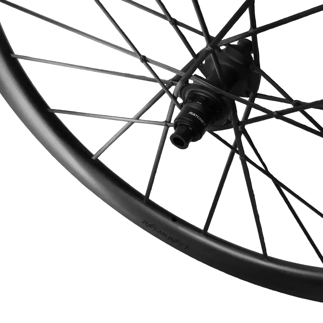 LIGHTWEIGHT Wheelset Meilenstein Art 28mm Disc Schwarz Edition Oversized - Image 5